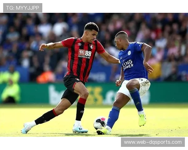 英超最小球场伯恩茅斯主场扩建，提升观赛体验